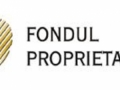 Fondul Proprietatea a anulat licitatia pentru selectia firmei care va intocmi situatiile financiare