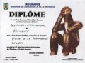 MAE. Diplome de excelenta