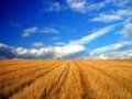 Comisia Europeana a prezintat proiectul unei Politici agricole comune de perspectiva dupa 2013