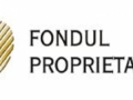 Fondul Proprietatea, funcţional complet n termen de 11-14 luni