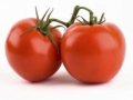 Guvernul a stabilit nivelul platilor tranzitorii pentru tomatele destinate procesarii