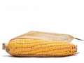 Garda Financiara Bucuresti a confiscat 2,5 milioane lei de la o firma care comercializa ilegal cereale  