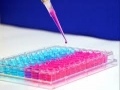 Incepand cu data de 15 iunie 2011cuplurile vor putea accesa programul Ministerului Sanatatii de fertilizare in vitro