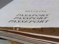 Pasapoartele electronice vor fi puse in circulatie de la 31 decembrie 2008
